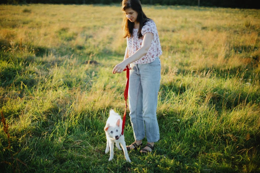 La promenade un moment essentiel pour les besoins de votre chien